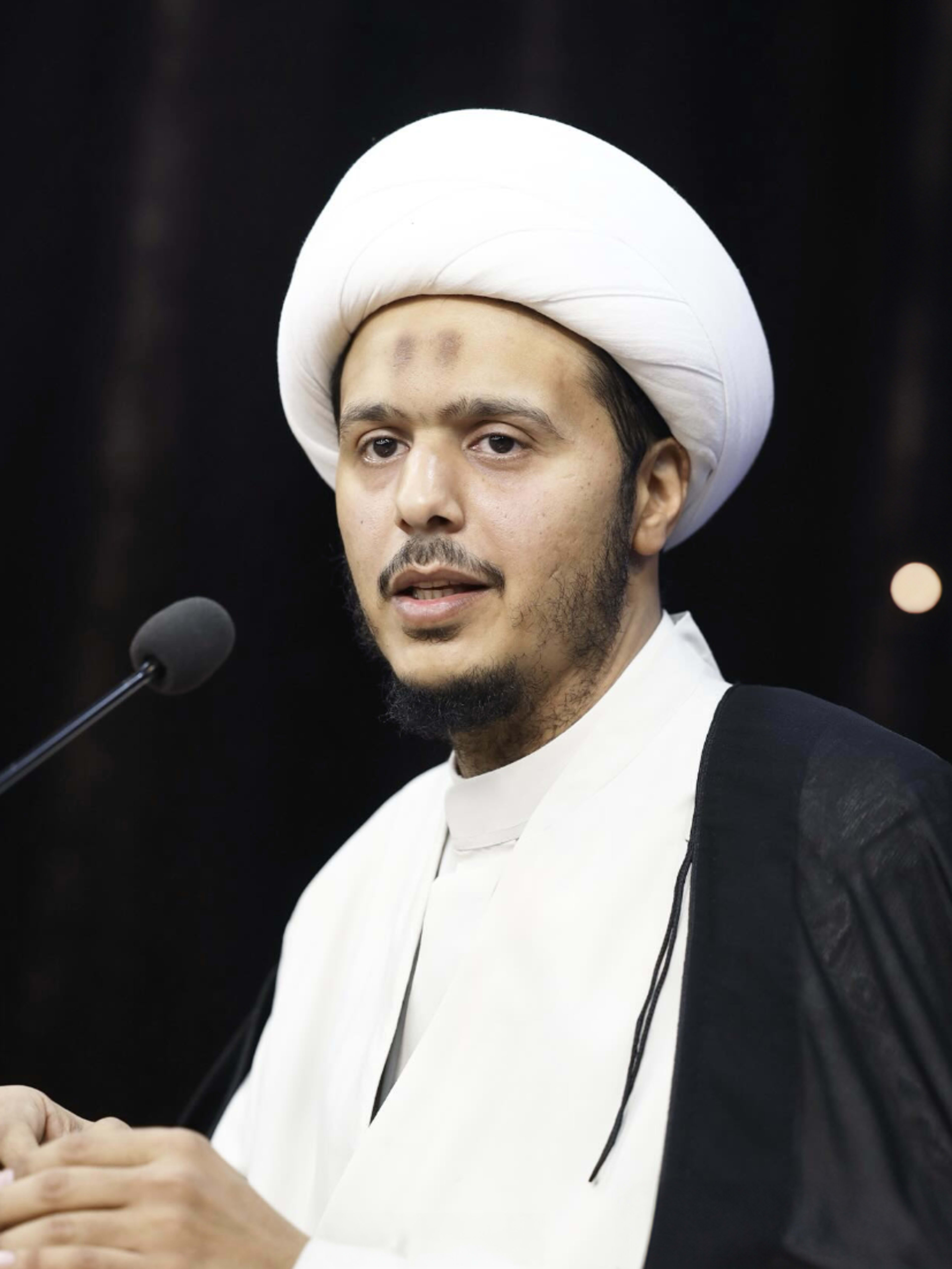 الشيخ محمد رضا العالي
