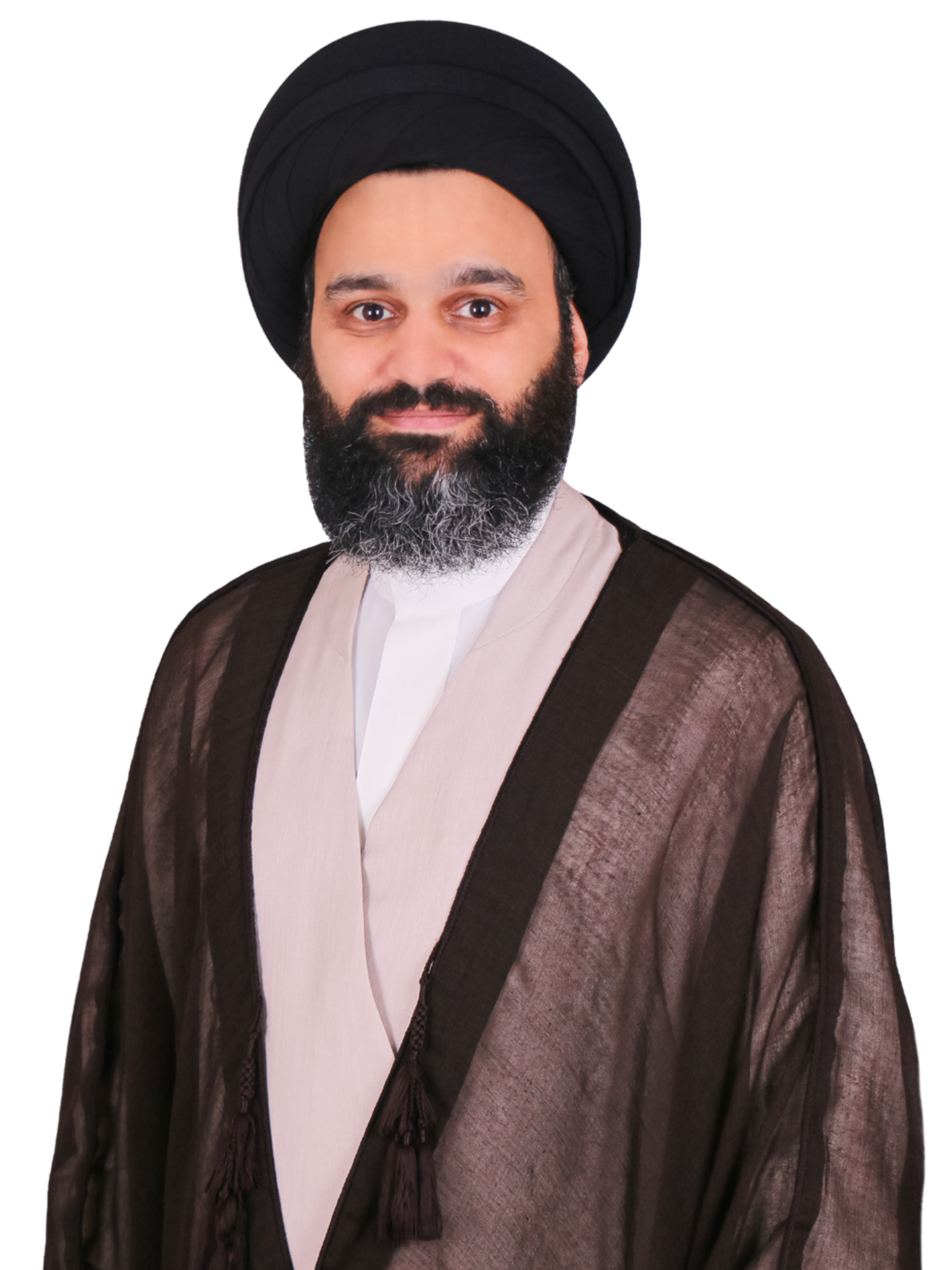 السيد محمود سيد سعيد الوداعي