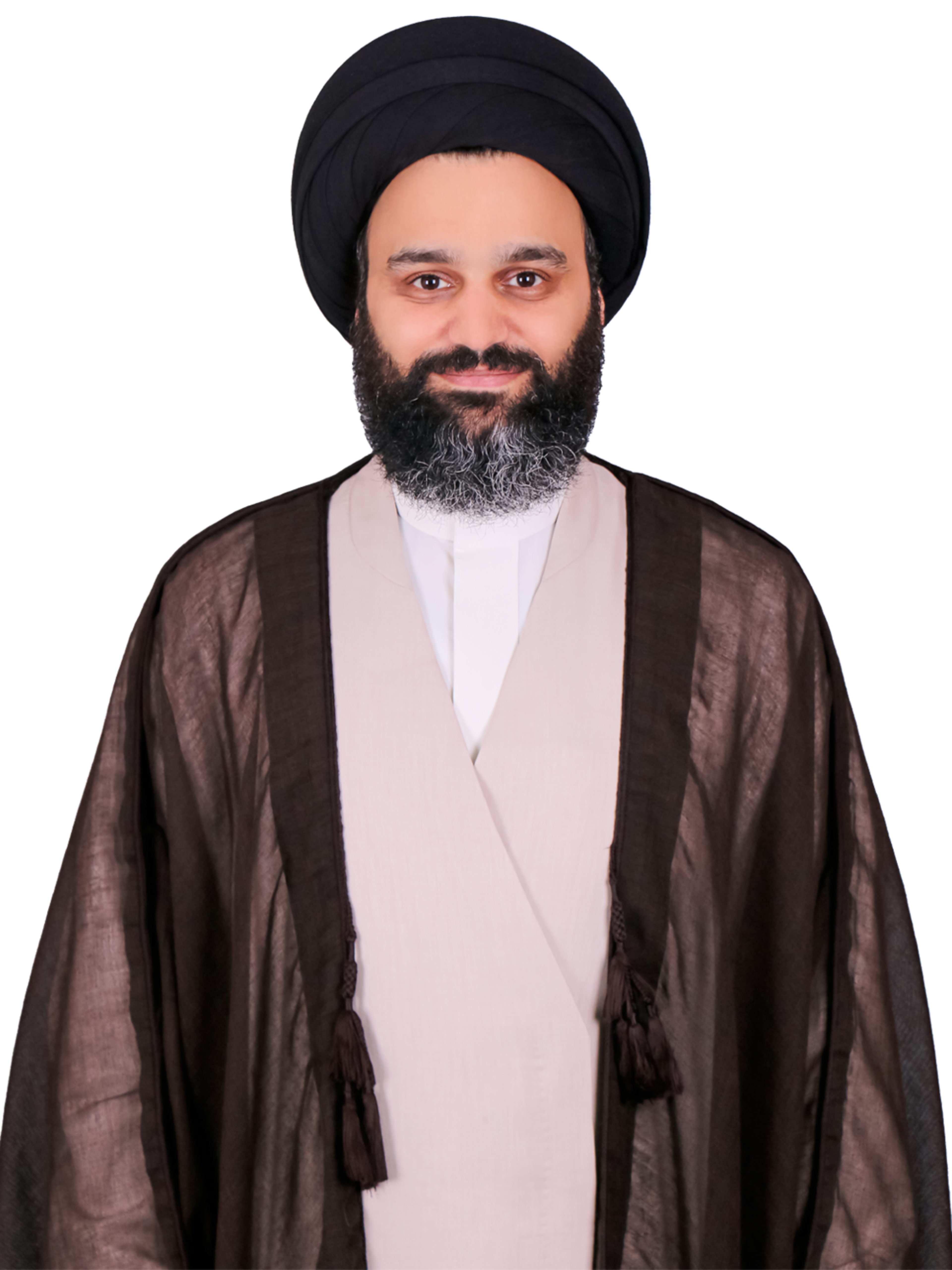 السيد محمود سيد سعيد الوداعي