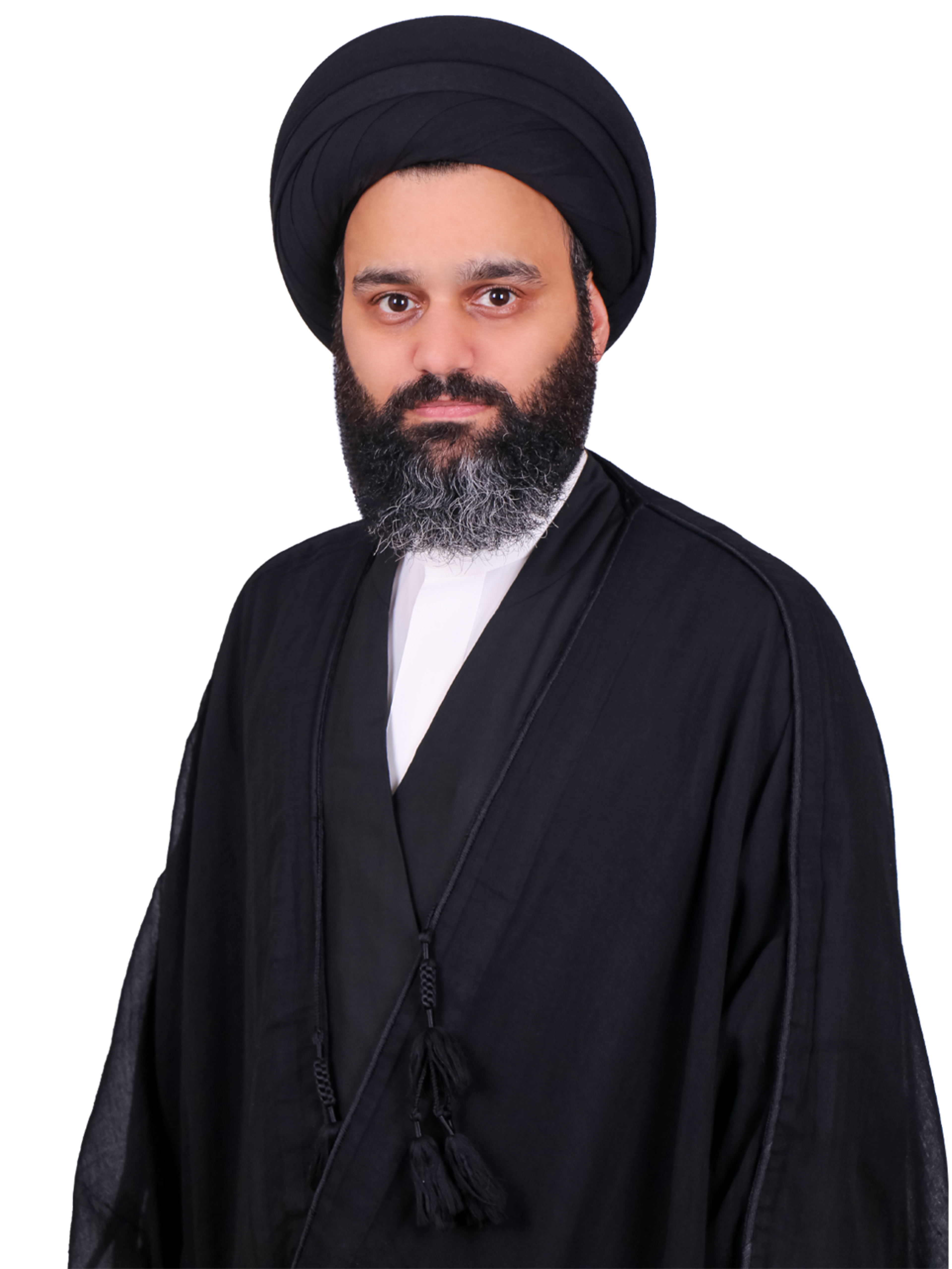 السيد محمود سيد سعيد الوداعي