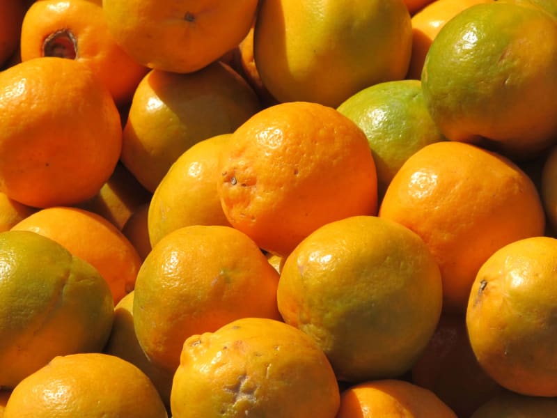 Organic Nagpur Orange