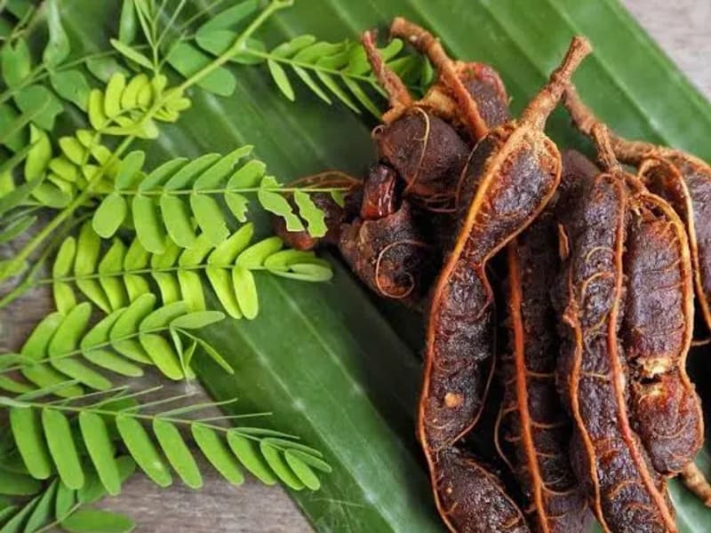 Raw Tamarind (with Seeds)