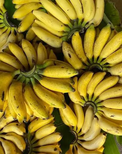 Organic Yelakki Banana