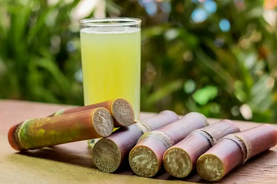 Fresh Sugarcane