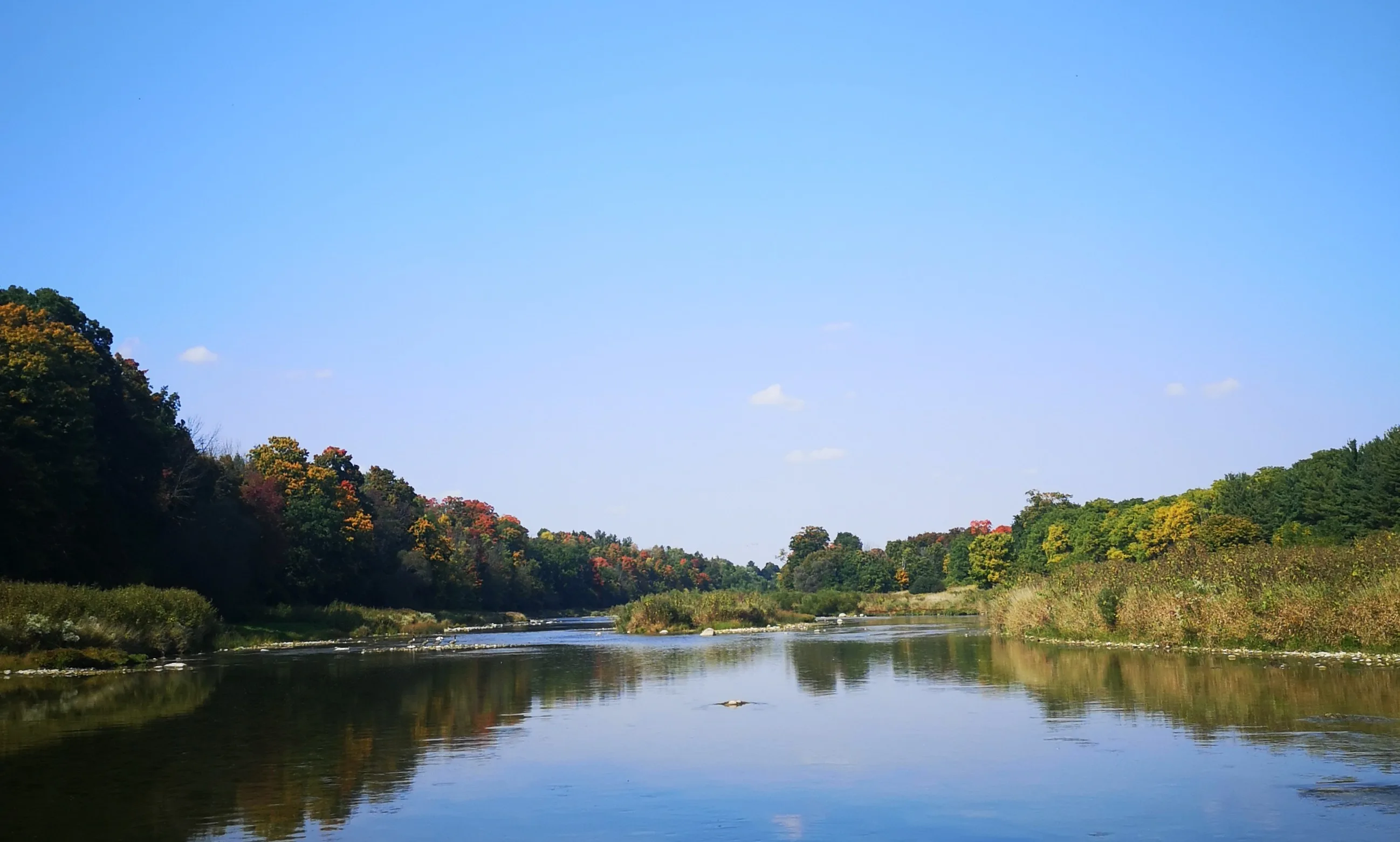 Kilworth Komoka Ontario real estate