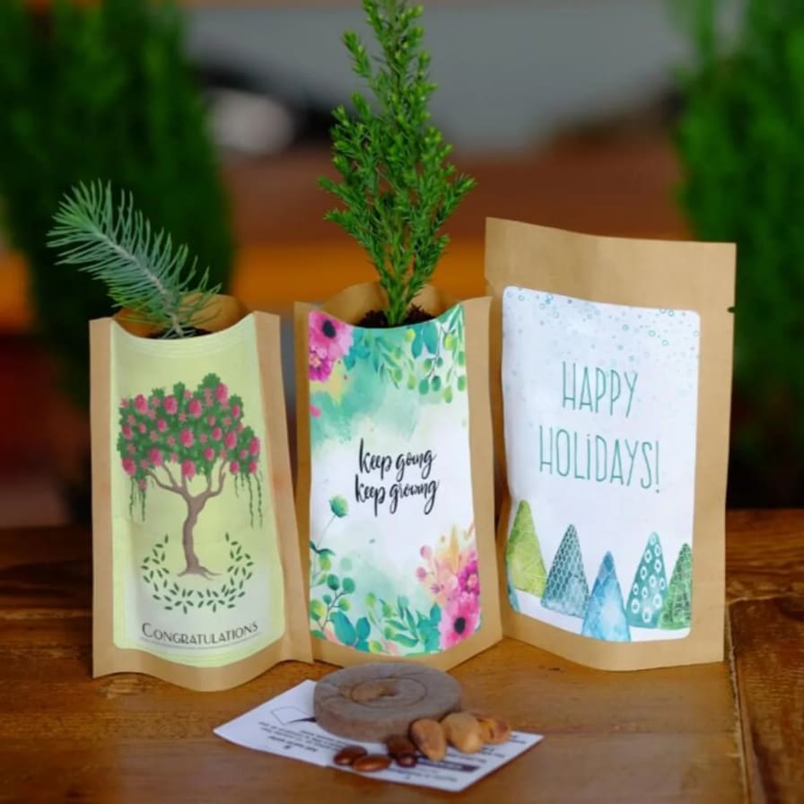 Gift Ideas for the Holidays - Zoë François' Newsletter