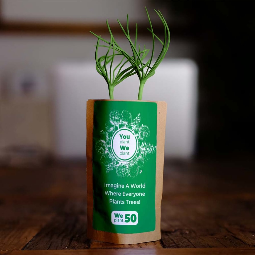 You-Plant-We-Plant-2024-50-