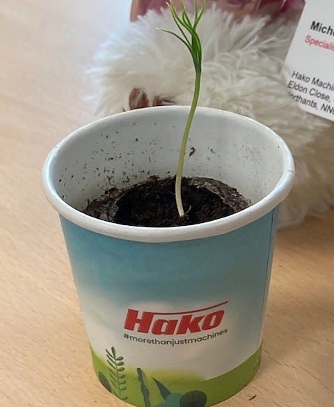 hakoページ HAKO Machines