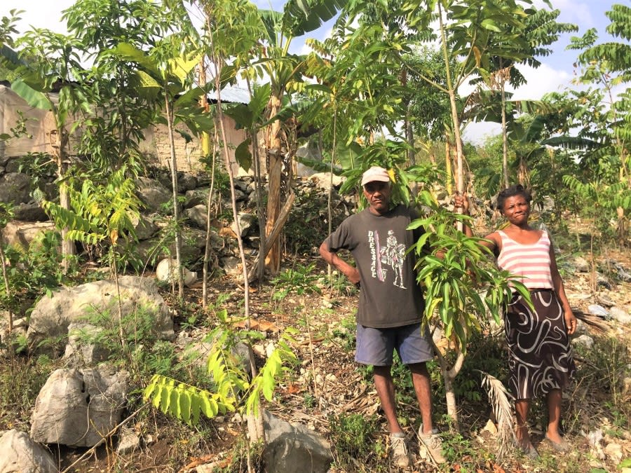 Restoring the Culture of Tree Planting in Haiti
