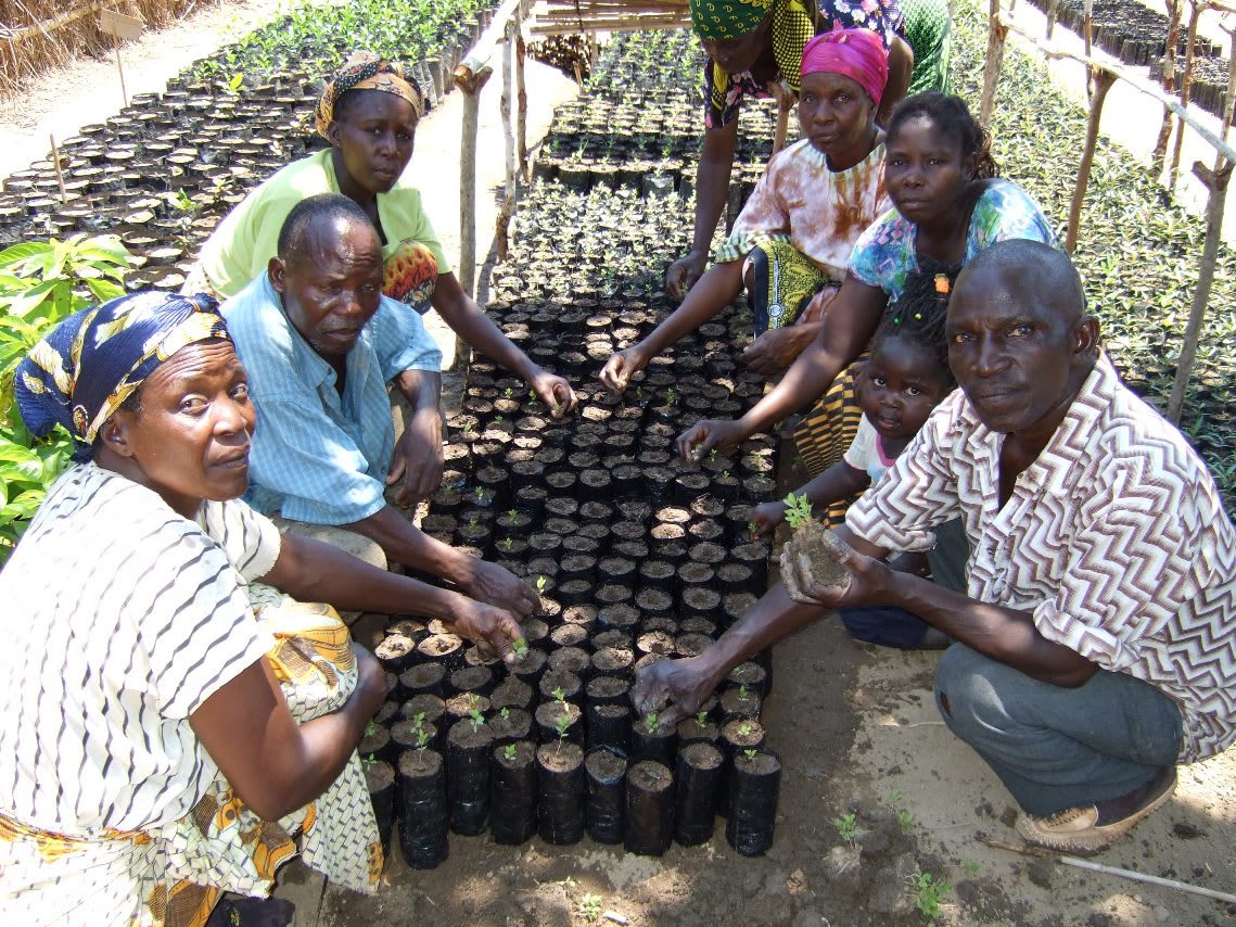 Planting For The Planet By The Planet
