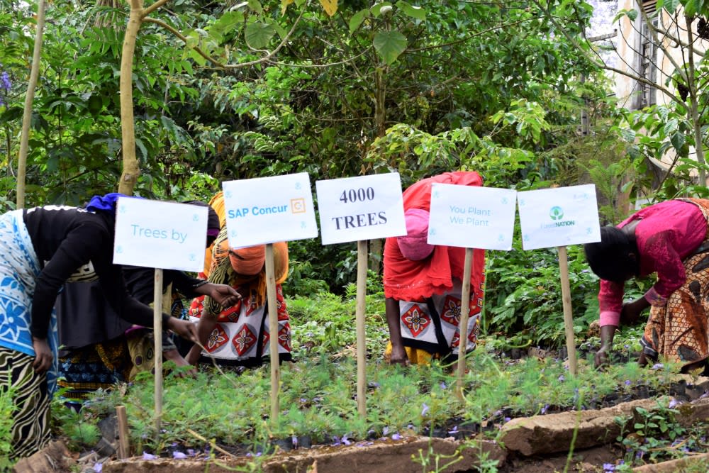 Conccur Tree How Planting Trees Helped SAP Concur Boost Engagement