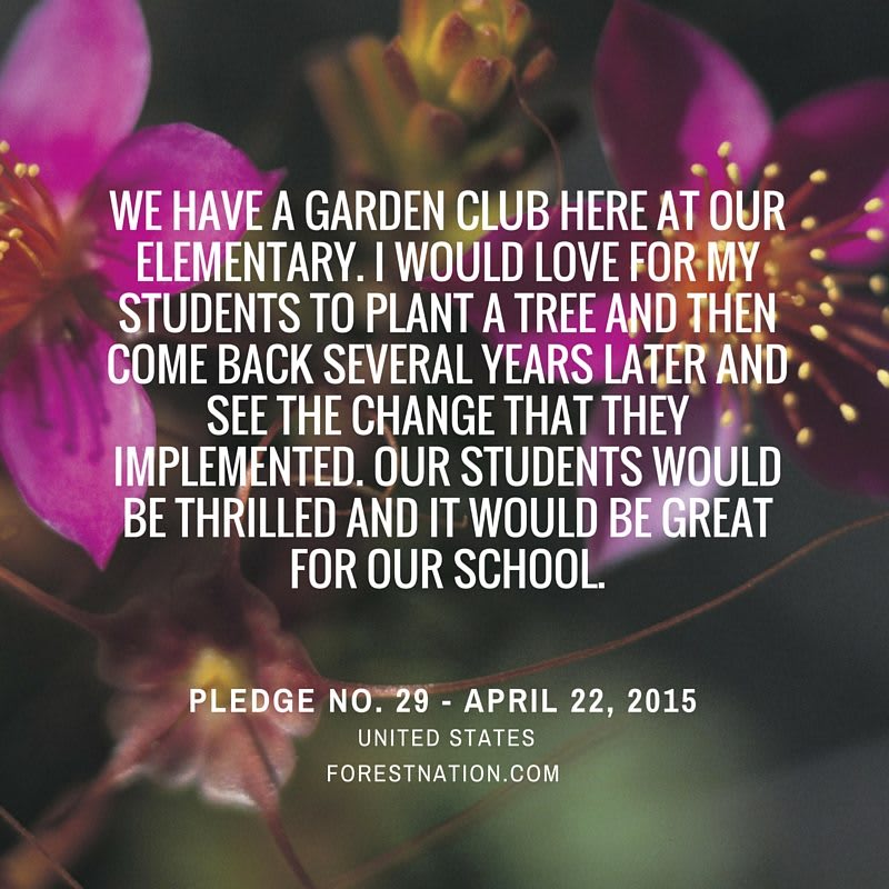 Health of Our Planet - ForestNation