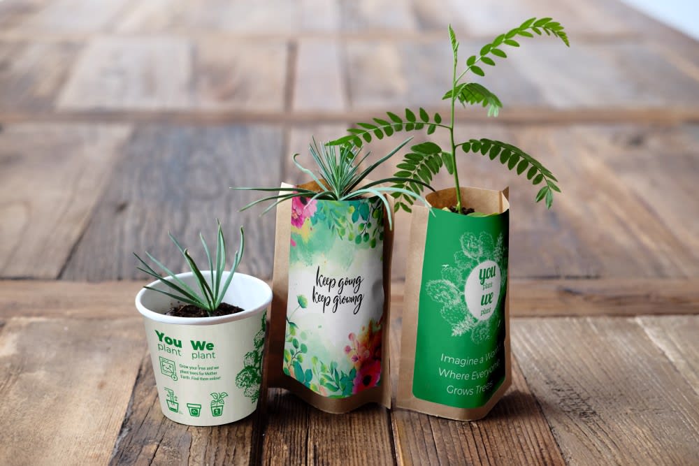 You Plant We Plant Tree Kits Happy Pack