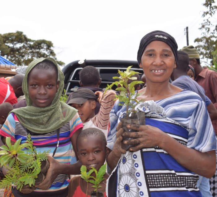 Pack of 500 Tree Kit Cups, We Plant 5000 More Trees - Image 4