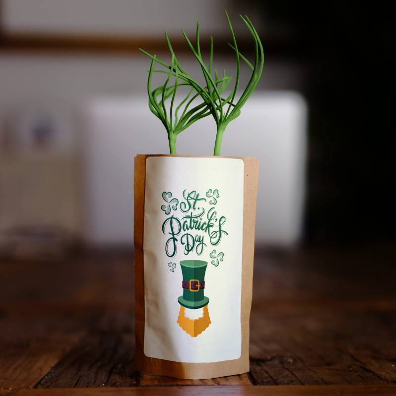 St Patrick's Day Shamrock