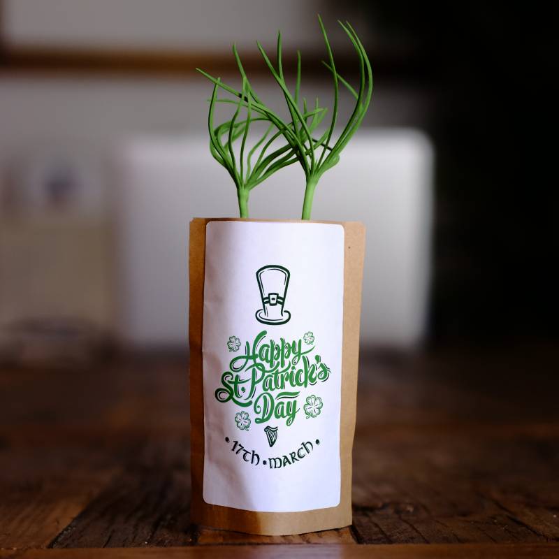 Happy Saint Patrick's Day