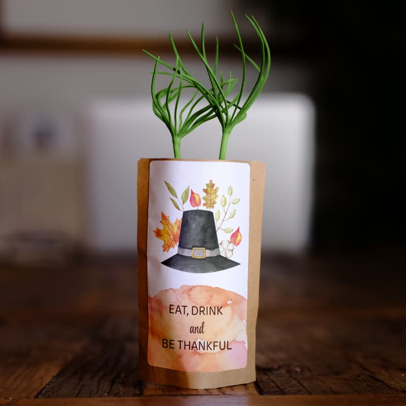 Be Thankful Tree Kit Thanksgiving