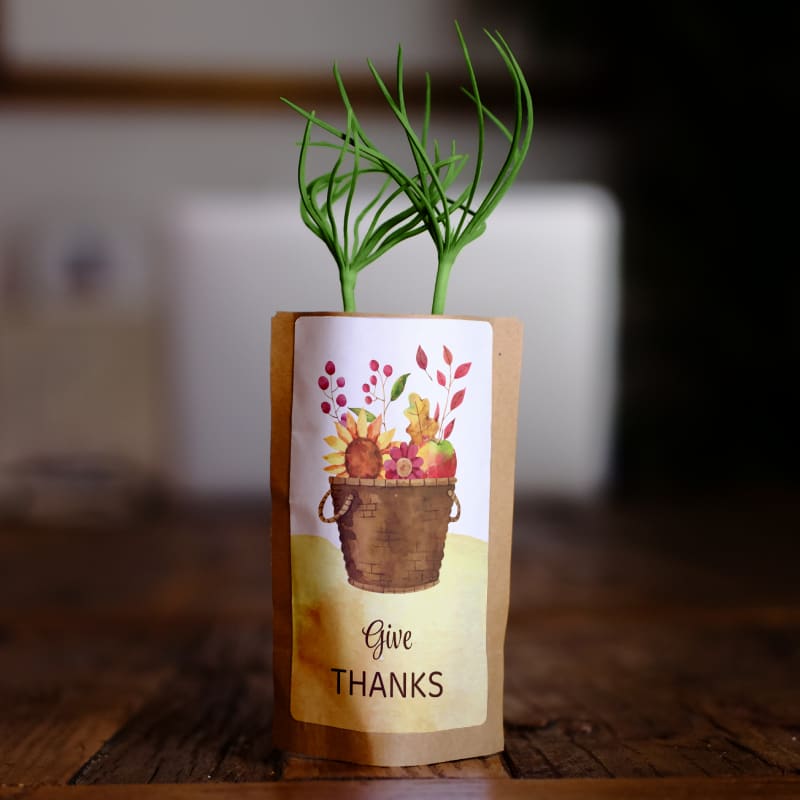 Thanksgiving Tree Kit