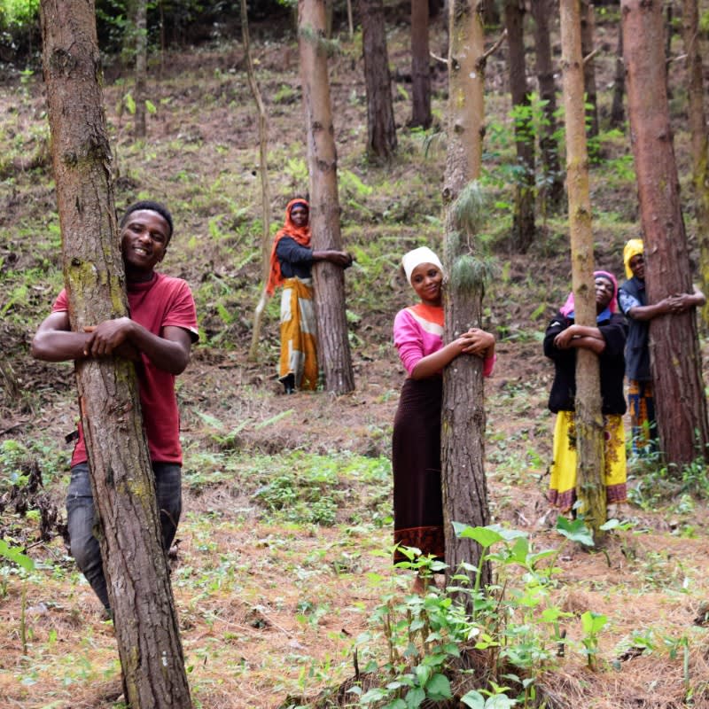tree kits impact tanzania