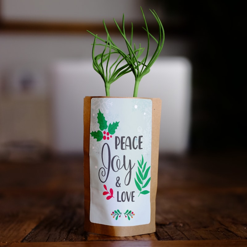 peace joy love christmas