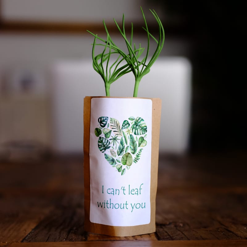 Can’t Leaf Without You