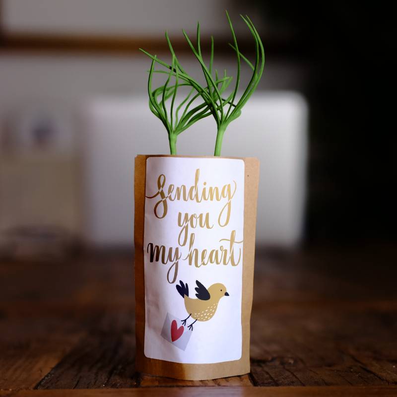 Sending you my heart