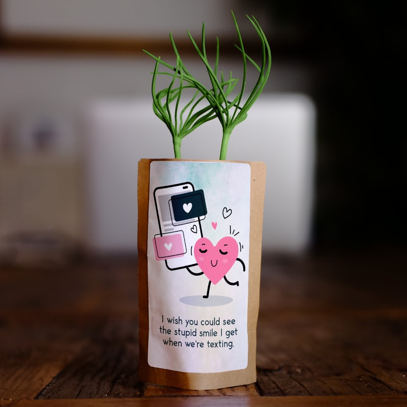 I wish you could see the stupid smile I get when texting you