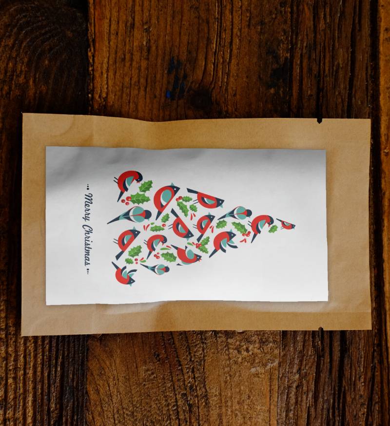 Merry Christmas Birdy Tree Growing Kit - Image 2