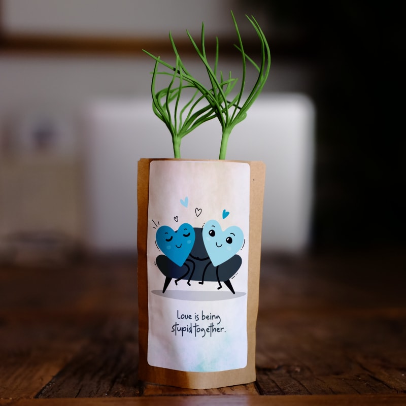 Love is being stupid together