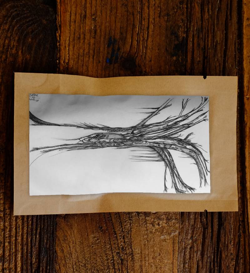 Old Faithful Shiver Tree by N'dene - Image 2