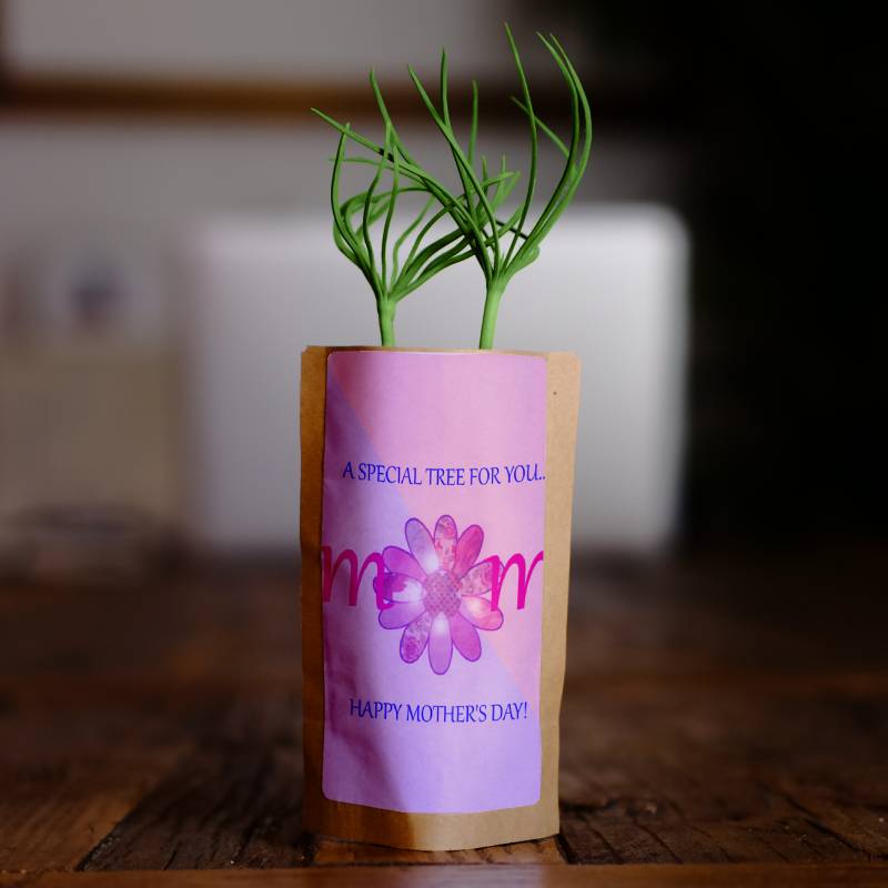 Happy Mother's Day pouch