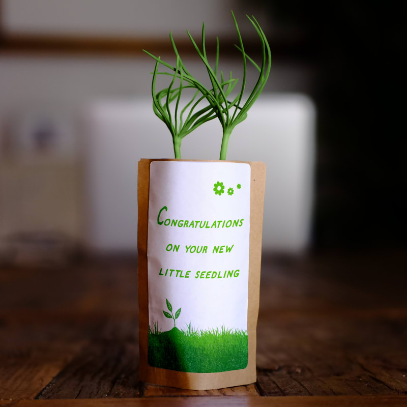 Baby Congratulations