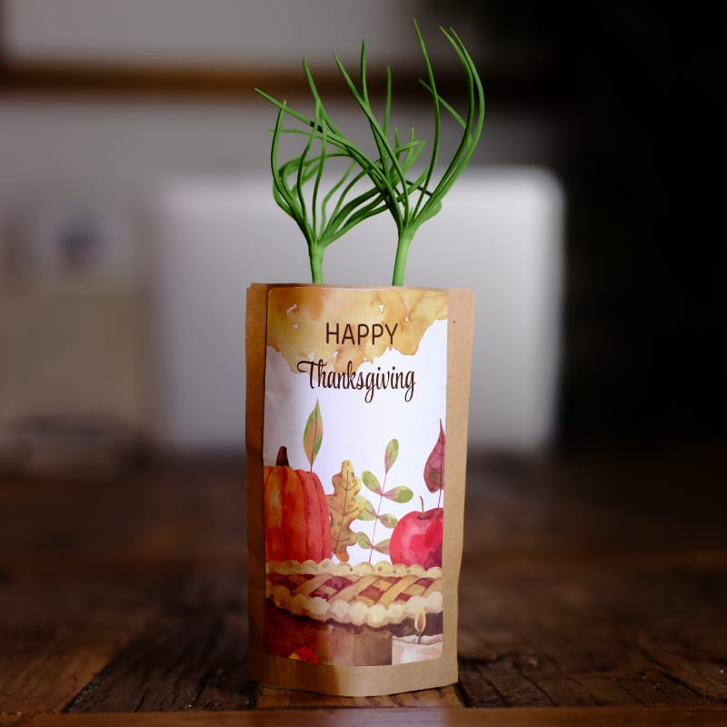 Happy Thanksgiving Trick or Treat