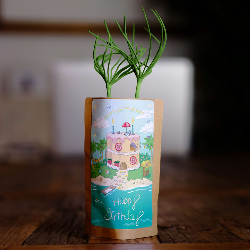 Sweet Life - Happy Birthday