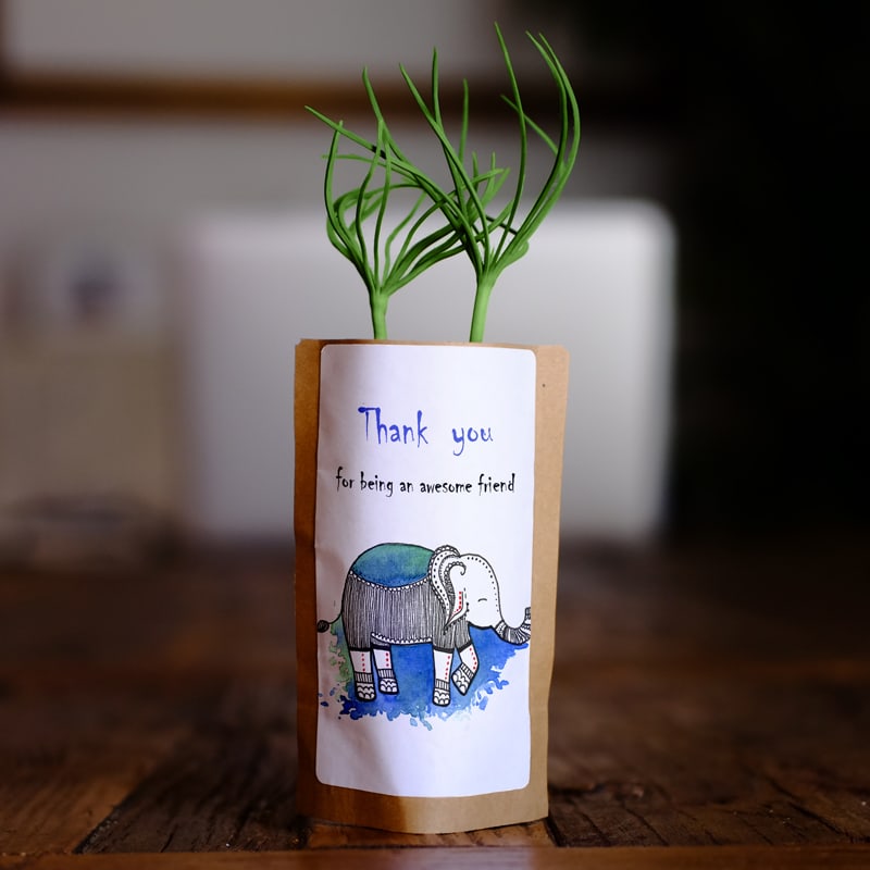 Thank you for being an awesome friend