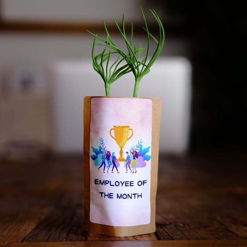 Employee of the Month