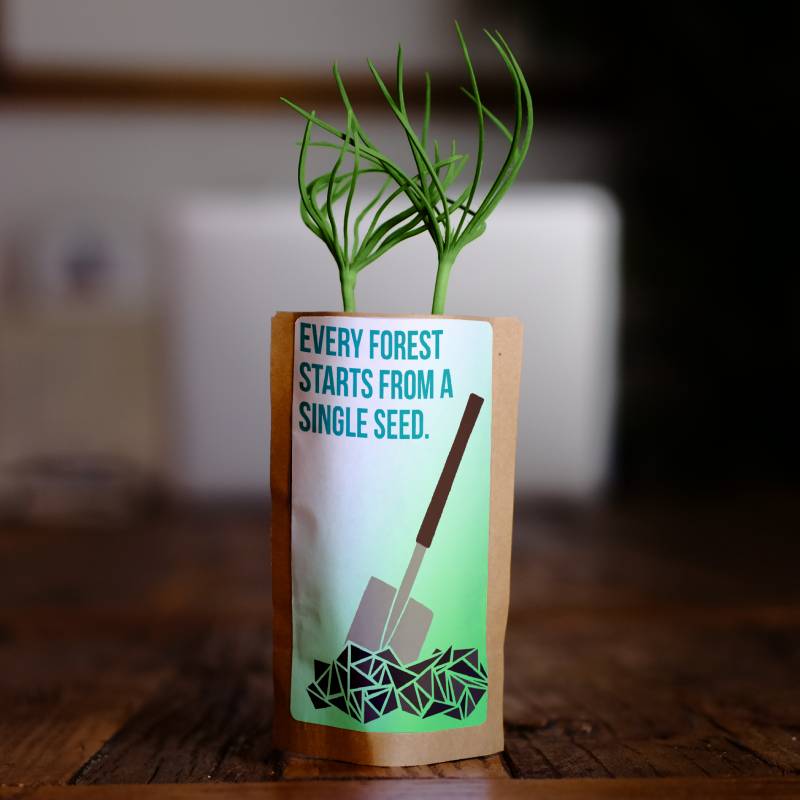 Every Forest Starts with a Seed