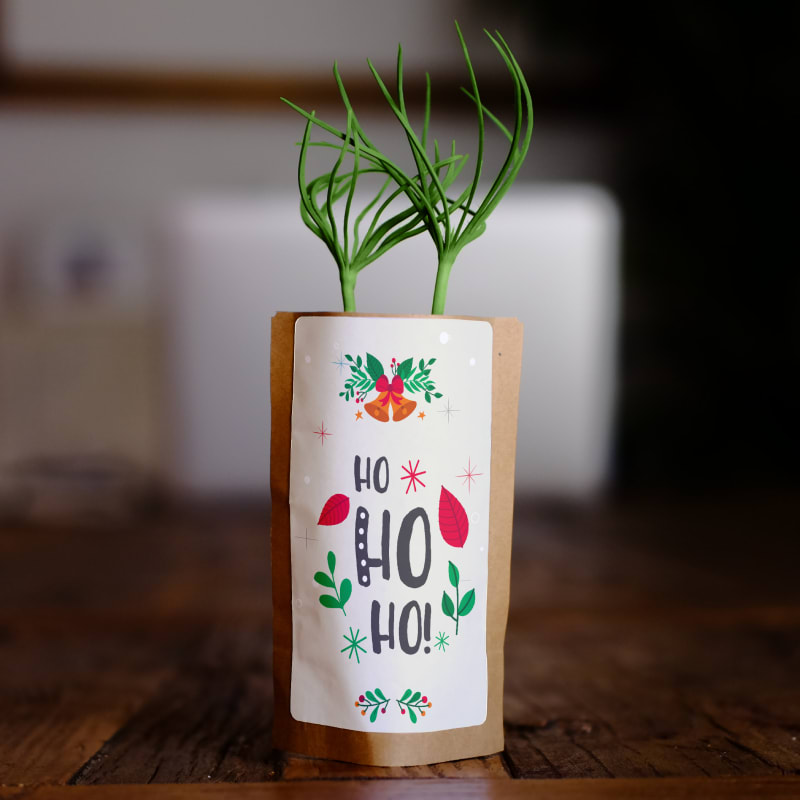 Ho Ho Ho Merry Christmas