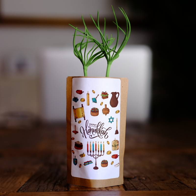 Happy Hanukkah Chanukah