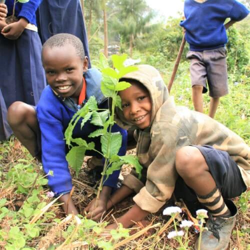 ForestNation Guardians Tree Kits Pack for Kids, We Plant 50 More Trees - Image 6