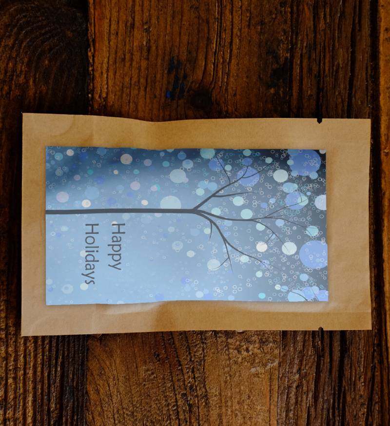 Happy Holidays Blue Forest Growing Kit - Image 2