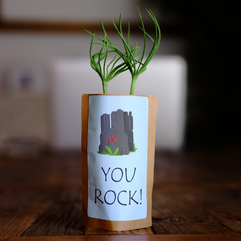 Congratulations Tree