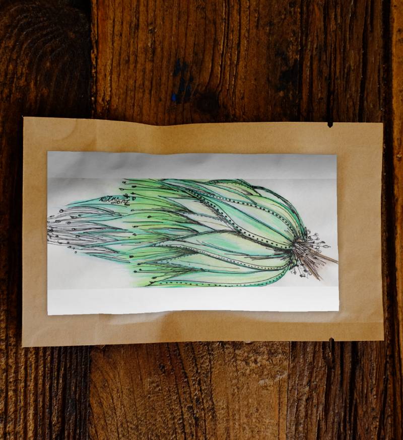 Australian Eucalyptus Tree by N'dene - Image 2