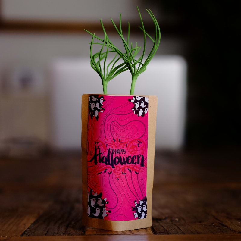 Happy Halloween Spooky