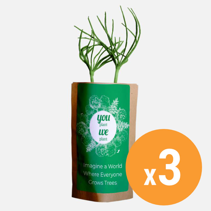 Fundraiser Tree Kit You Plant We Plant x3