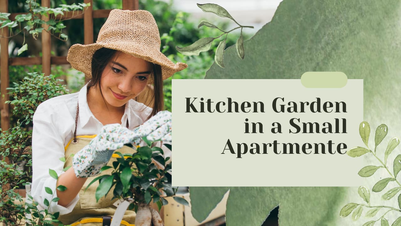 https://res.cloudinary.com/drt2tlz1j/images/f_auto,q_auto/v1687784138/fn1/Kitchen-Garden-in-a-Small-Apartment/Kitchen-Garden-in-a-Small-Apartment.png?_i=AA