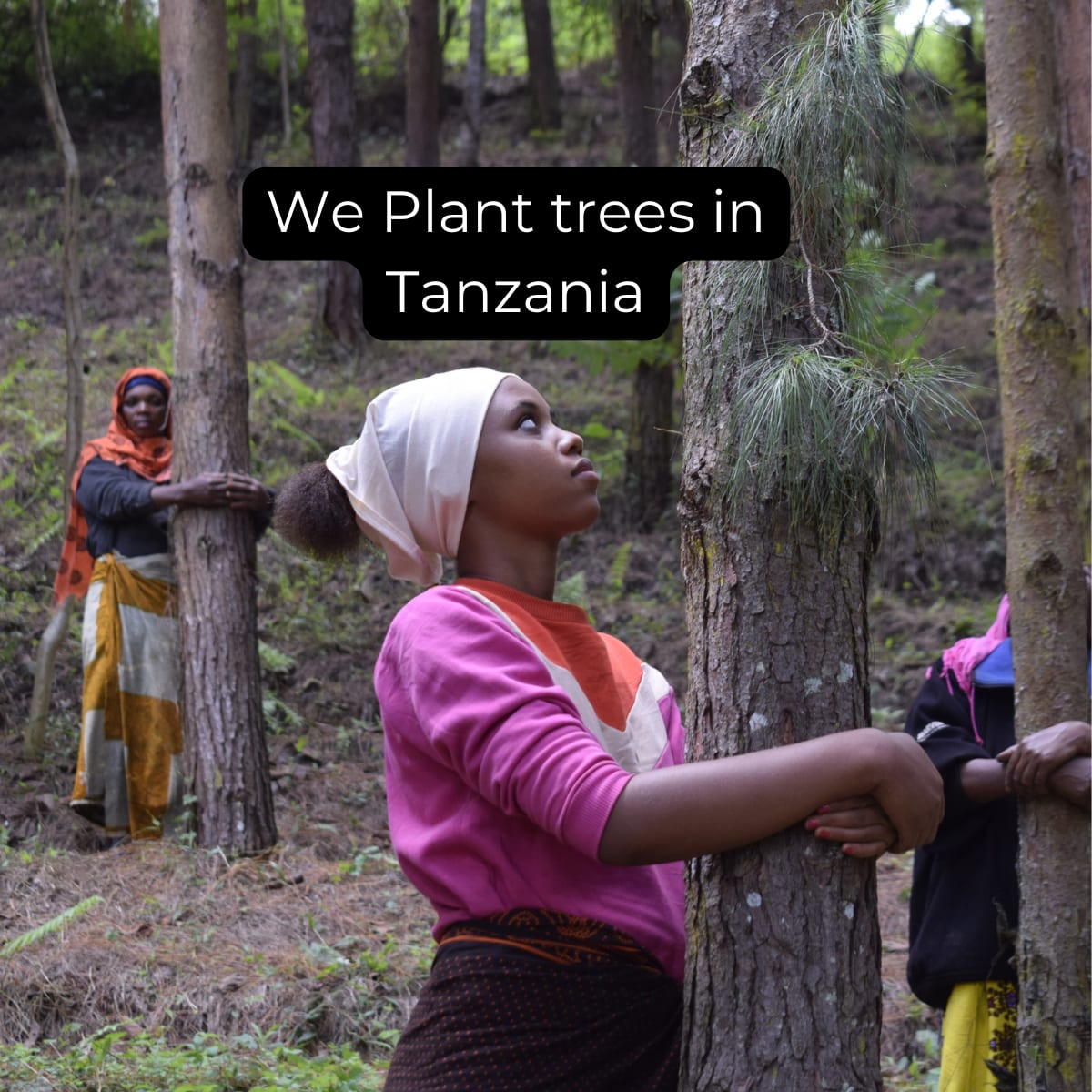 Welcome to the team - Image 5