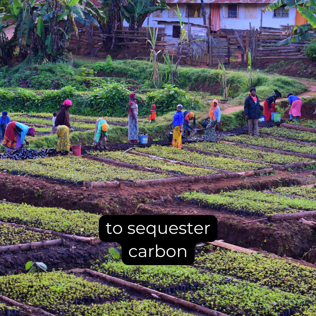 Welcome to the team - Image 6