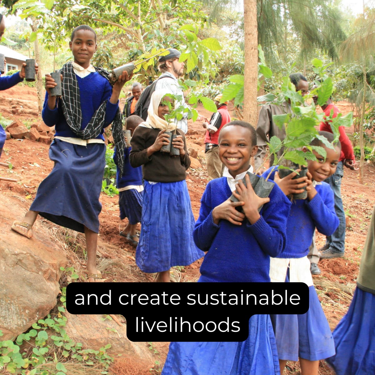 Welcome to the team - Image 7