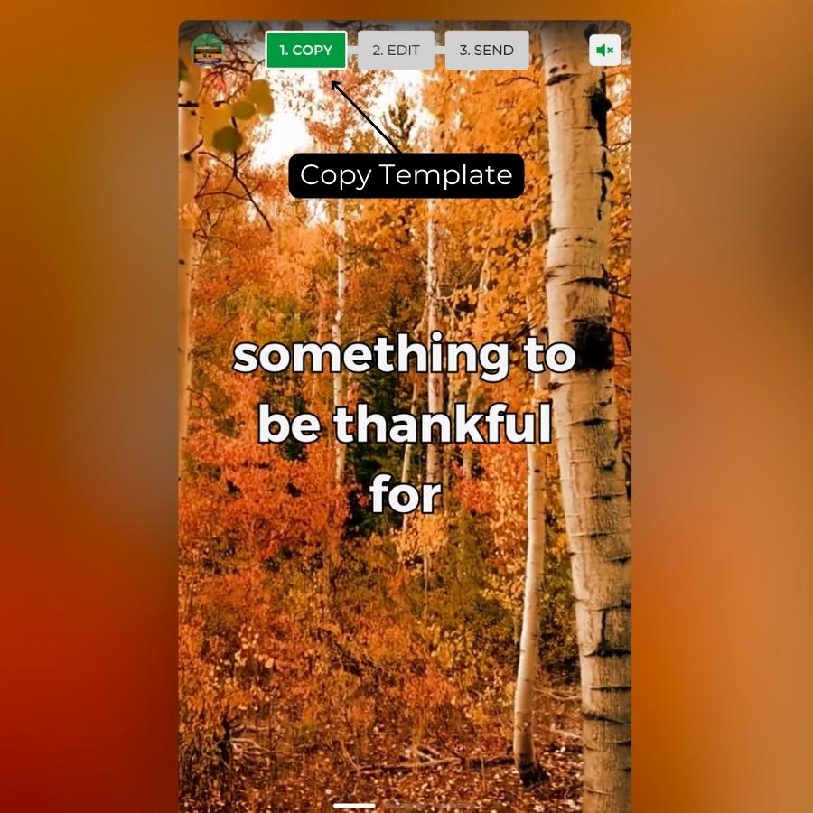 Thanksgiving V1 Product Shots